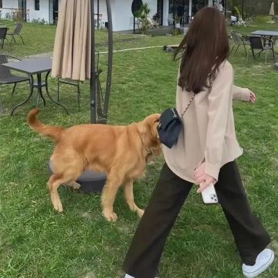 恋爱中的梵高
